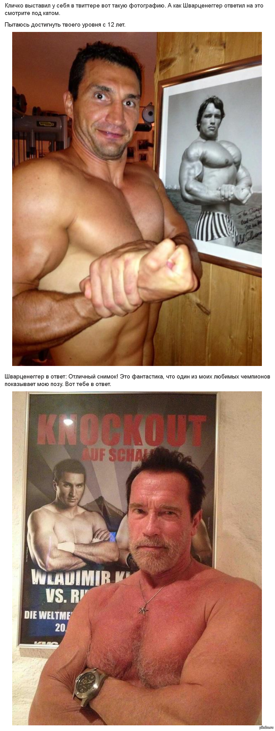 Klitschko and Schwarzenegger - Celebrities, The photo, Klitschko, Schwarzenegger