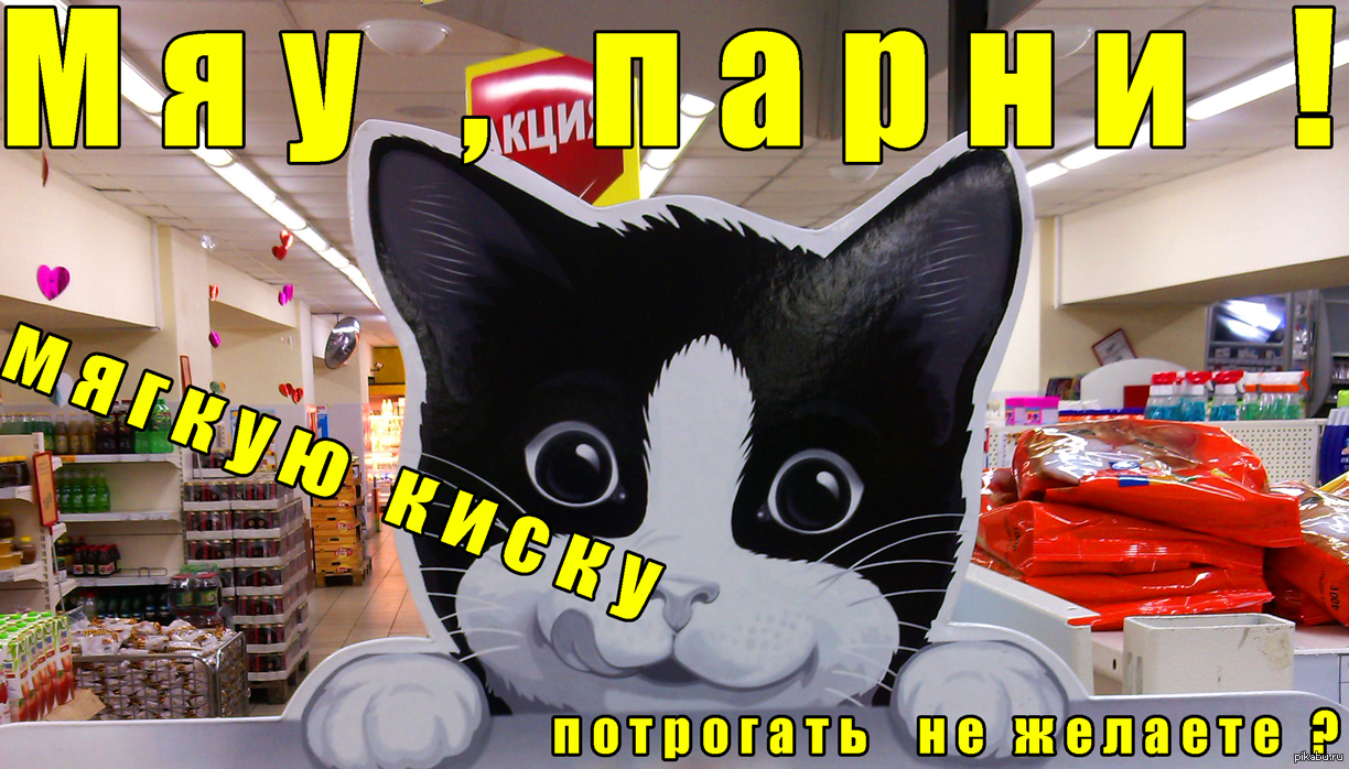 Мяу парню. Феликс мяу. Мяу прикол мужик. Мяу Мем мужик. Кот Felix на рабочий стол.