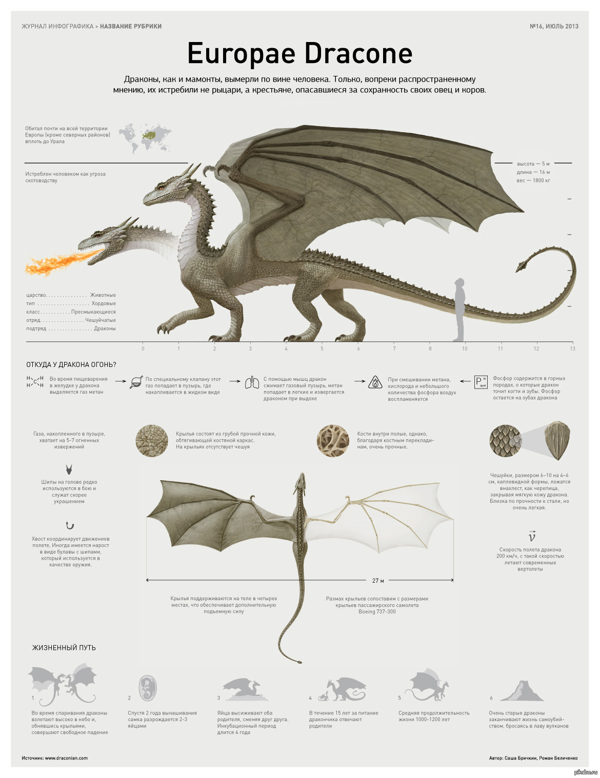 Размер дракона. Драконоведение Европейский дракон. Размеры драконов в метрах. Описание дракона. Описание драконов.