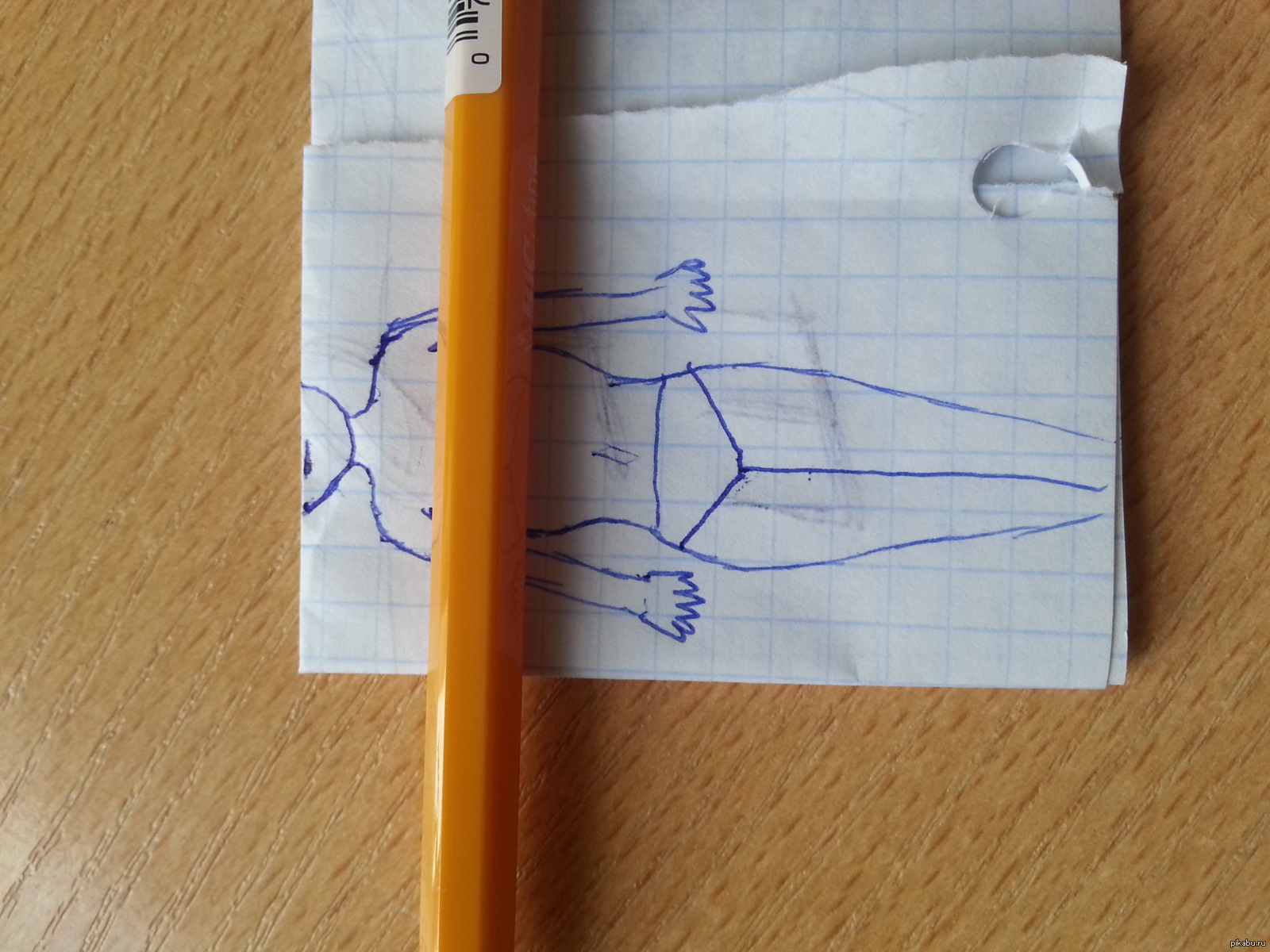 голая девушка нарисованная ручкой | Пикабу