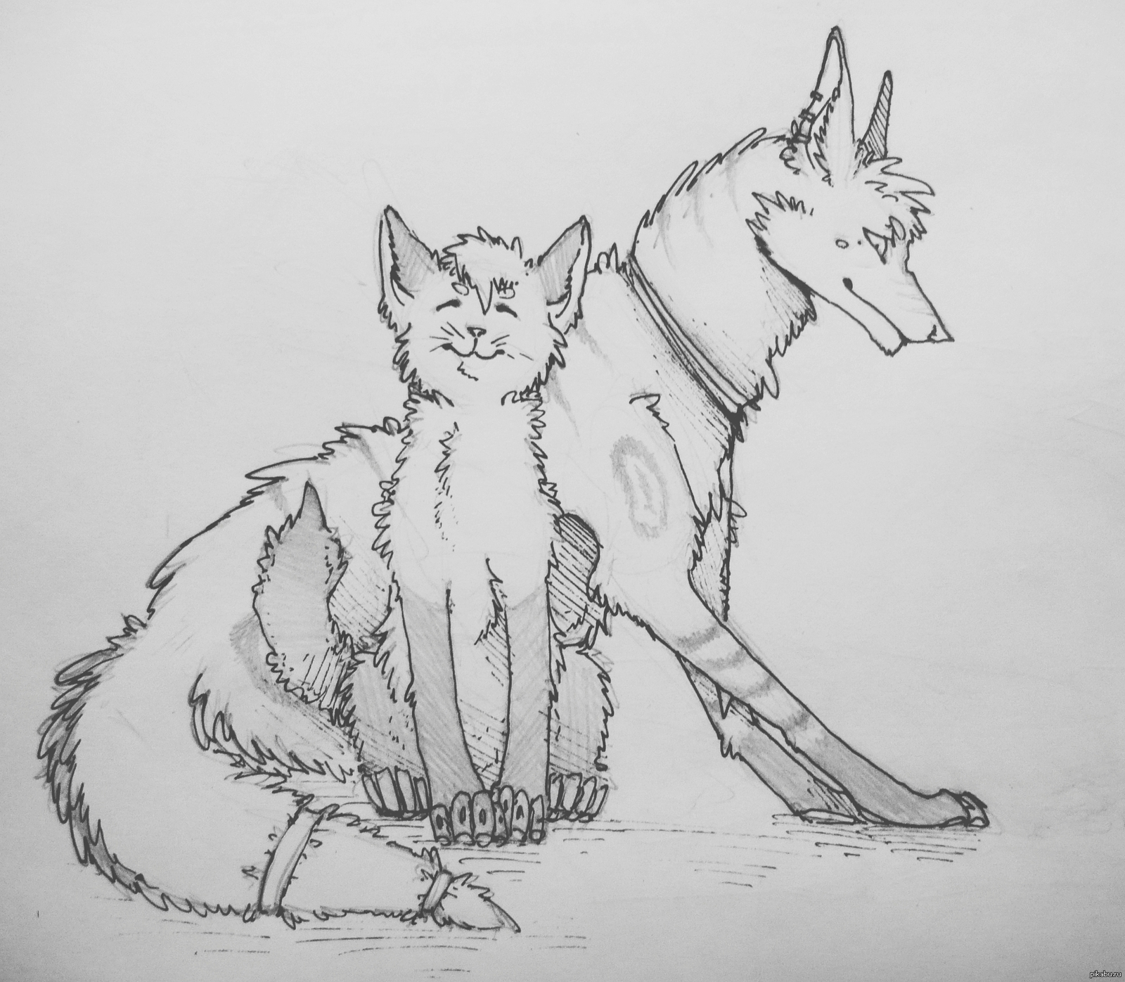 Раскраска волк и кошка