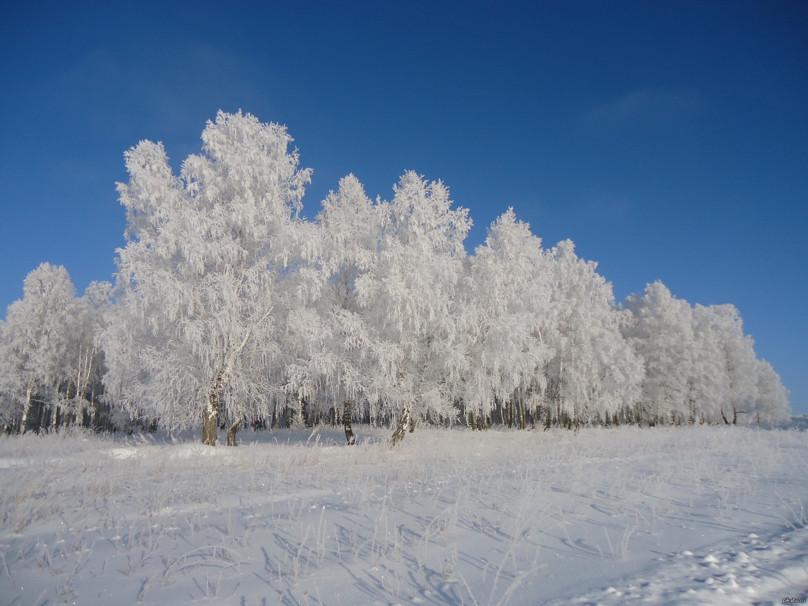 Алтайский край зима