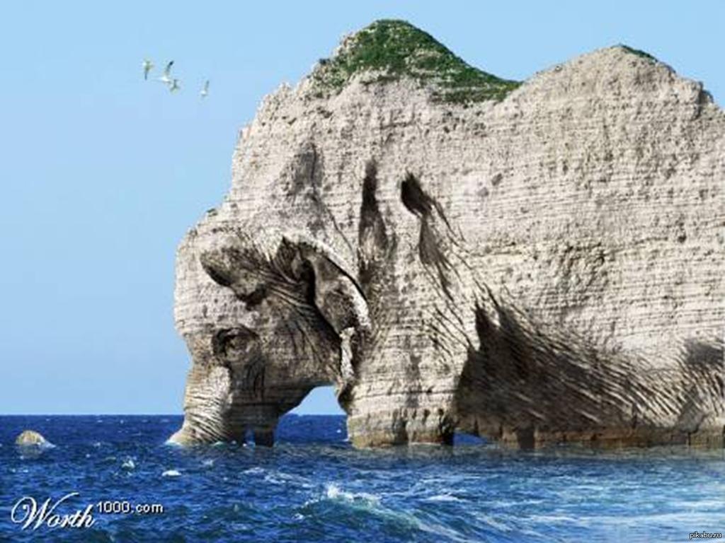 Фотографии напоминают. Гора слон штат Орегон. Гора слон Минеральные воды. Скала пьющий слон Приморский край. Скала слон Шри Ланка.