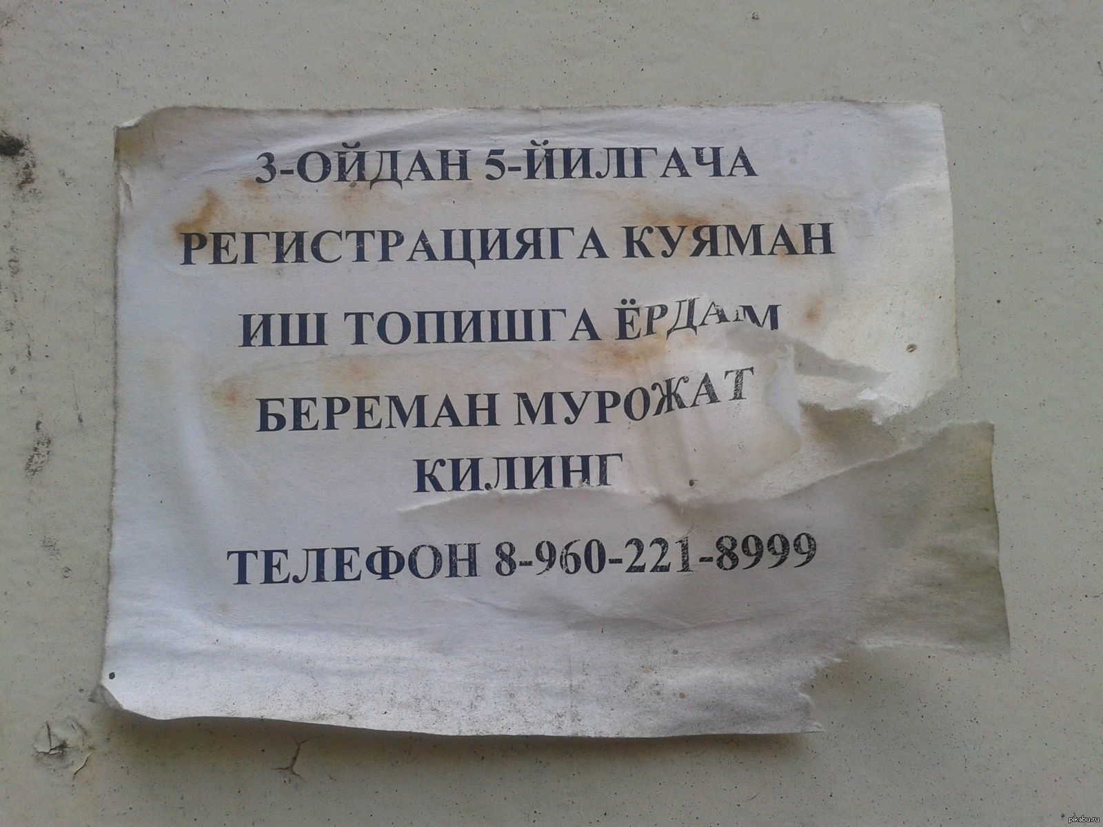 Объявление в Пскове | Пикабу
