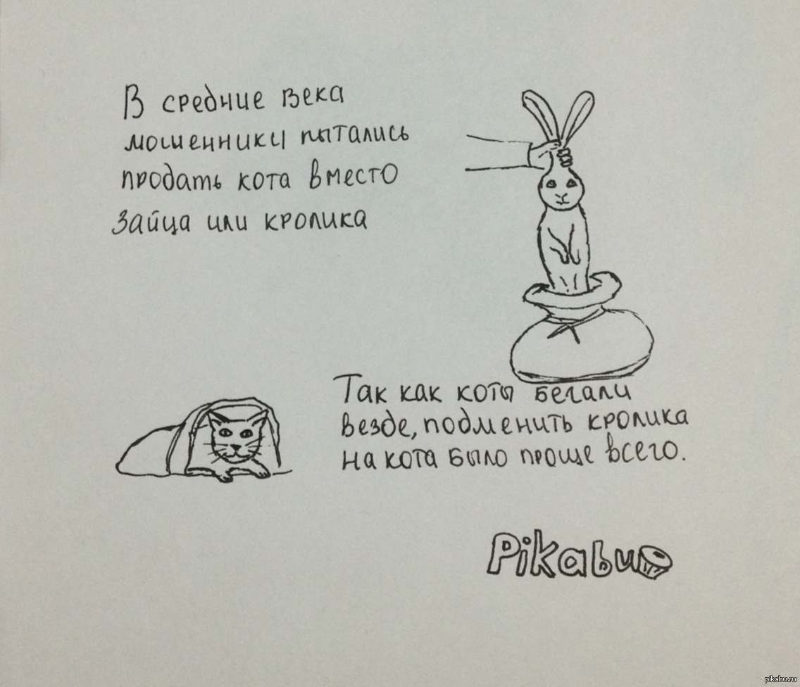Фразеологизм кот в мешке