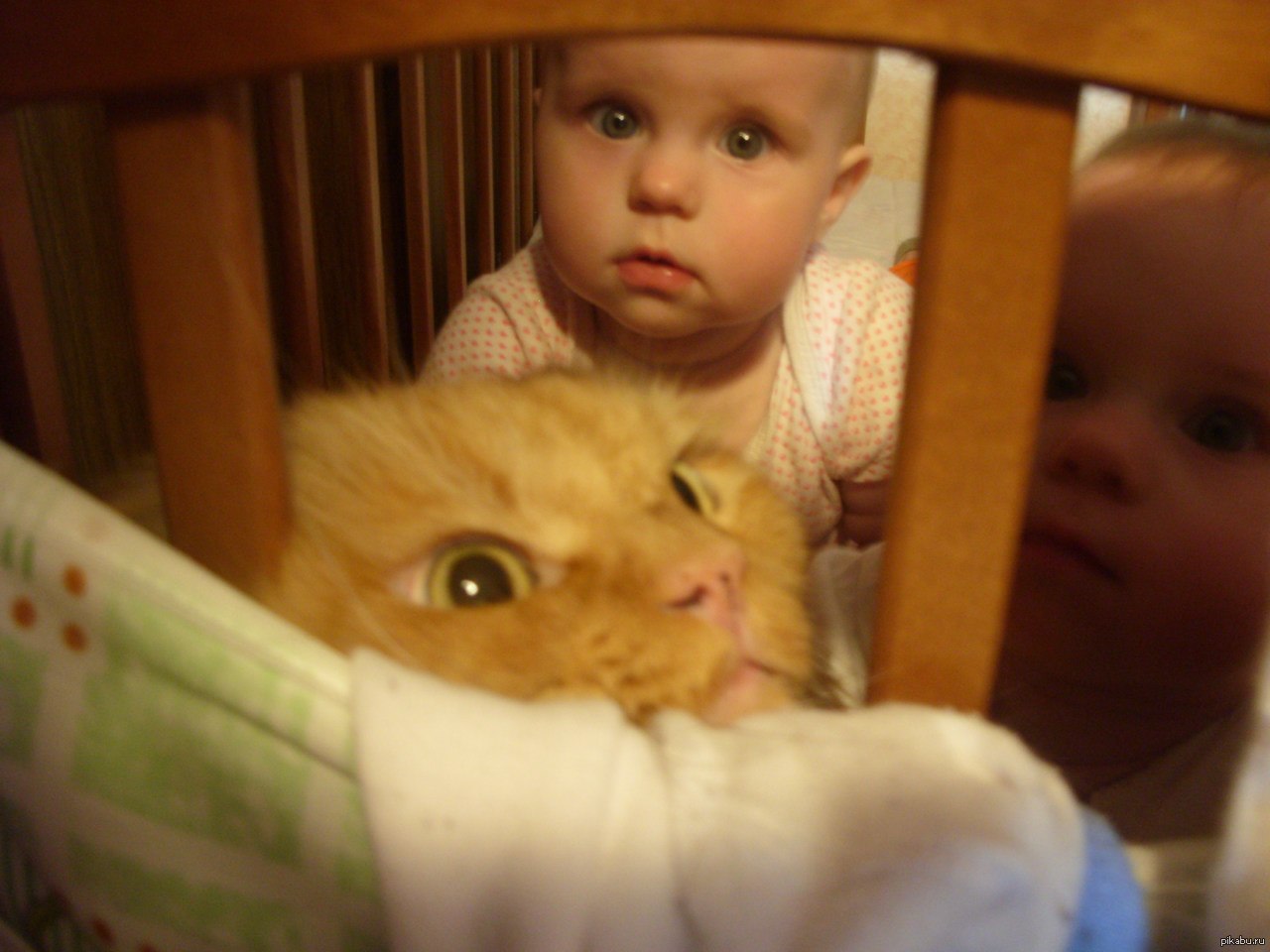 Мальчик с девочкой дружил. Демотиваторы про детей. Милые демотиваторы. Что ты знаешь про детей. Красивые слова про детей.