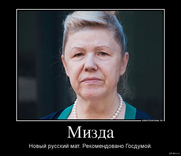 Русский мат русской женщиной. Елена Мизулина мемы. Мизулина Елена Мем. Елена Мизулина демотиватор. Мизулина страшная.