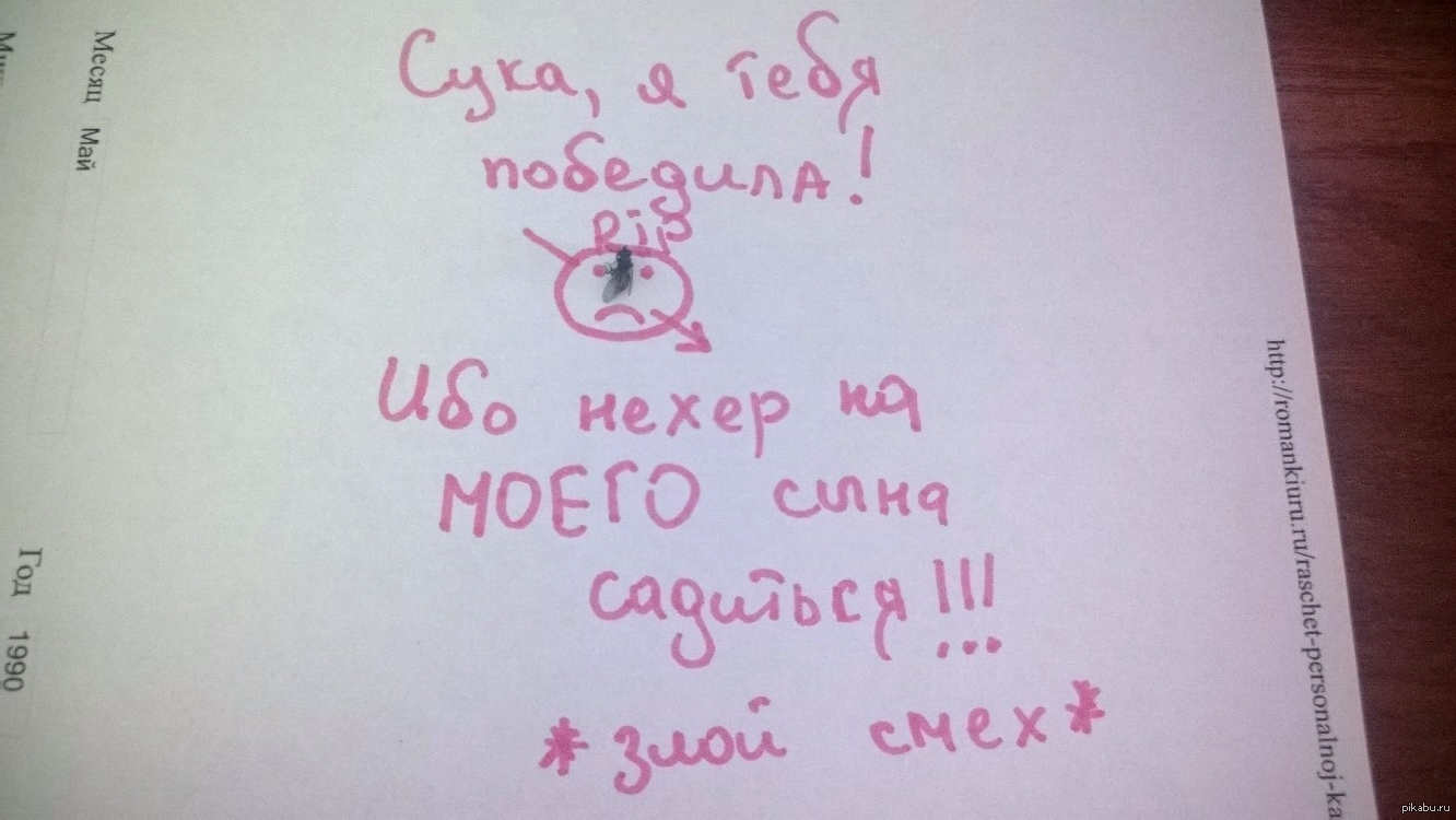 Победа | Пикабу