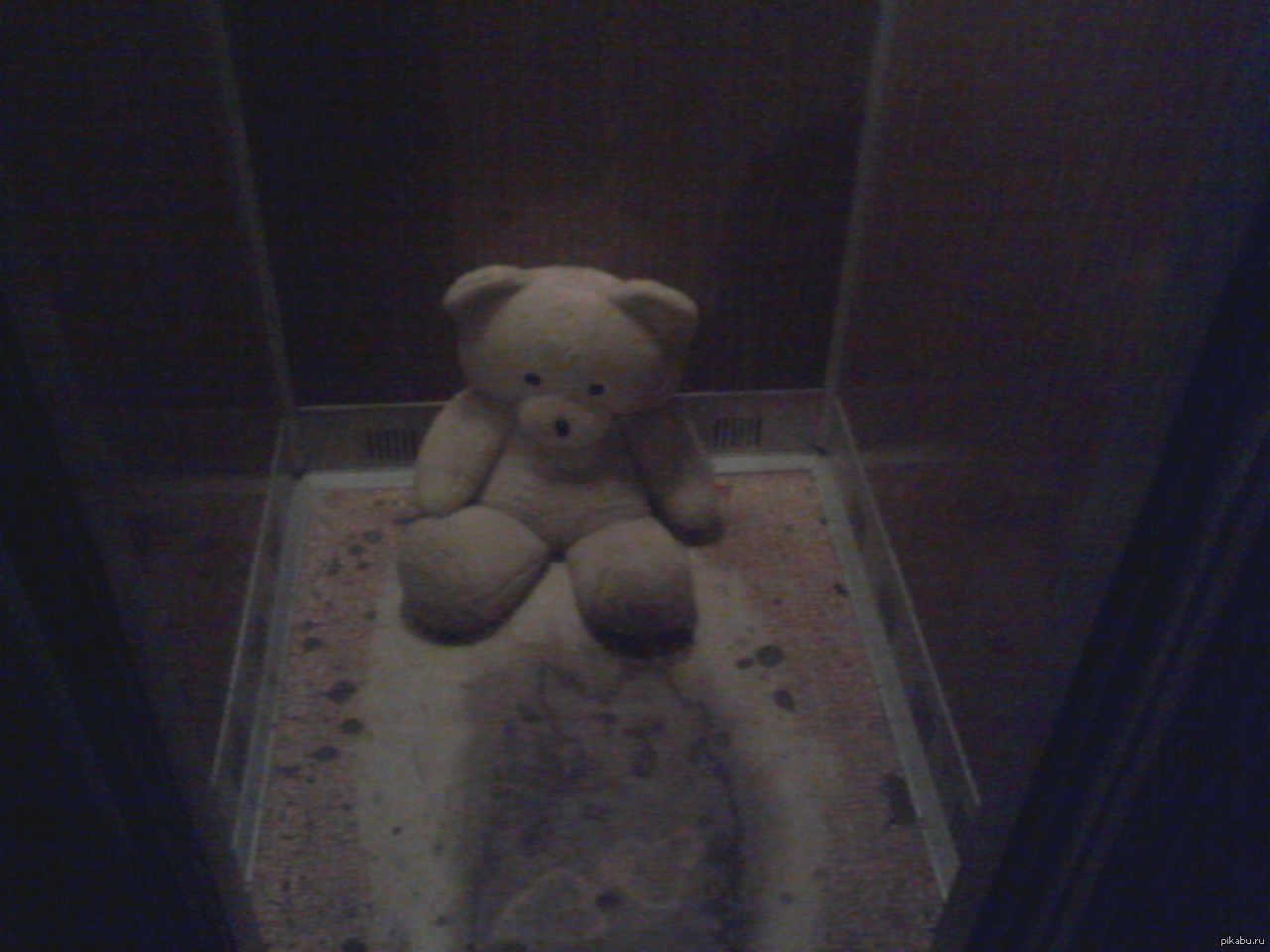 Медведь в лифте