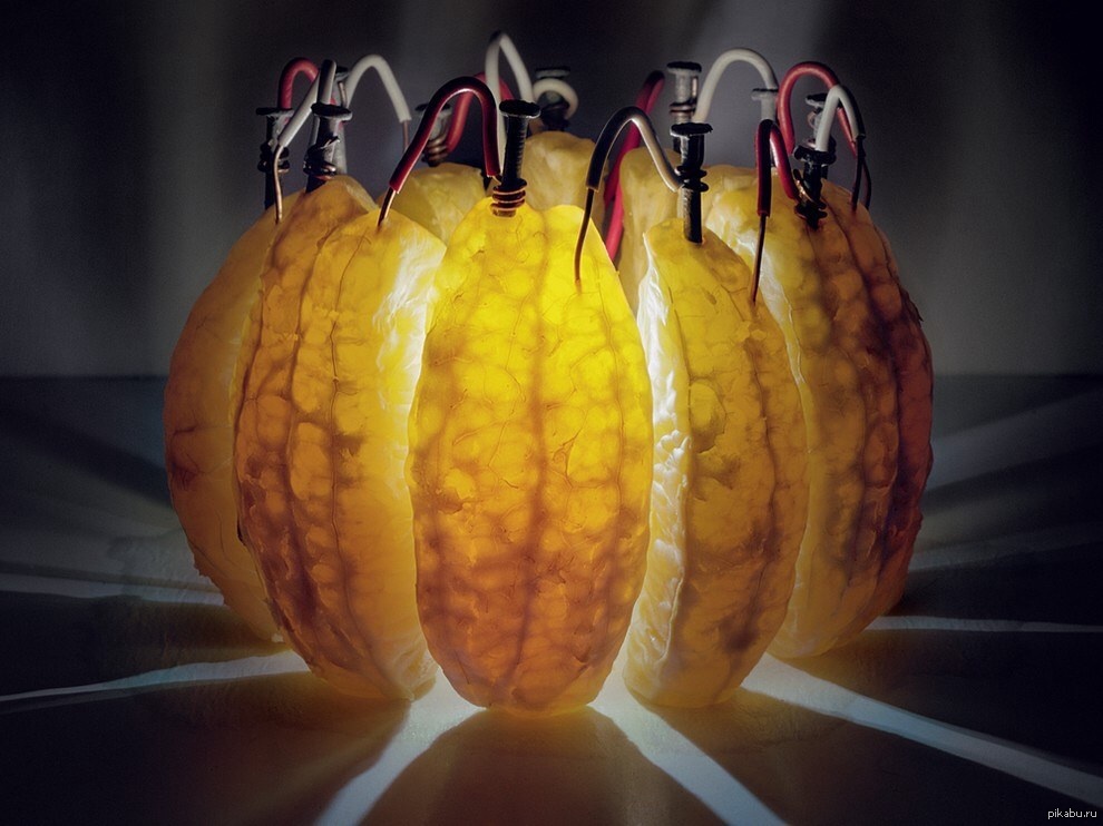 Фруктовые батарейки. Электричество из фруктов. Электричество из апельсина. Энергия фруктов. Батарейка из апельсина.