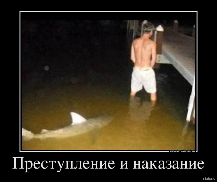 Преступление и наказание смешные картинки