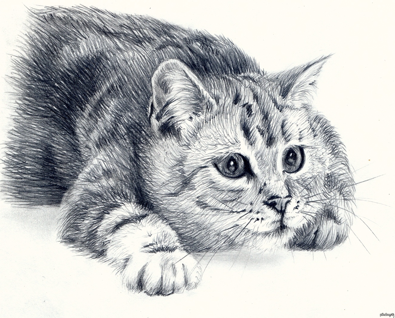 Картинки карандашом. Кот карандашом. Кошка рисунок. Кошка рисунок карандашом. АТ рисунок.
