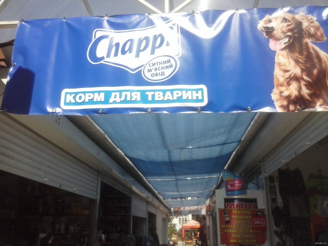 Суровый рынок)) | Пикабу