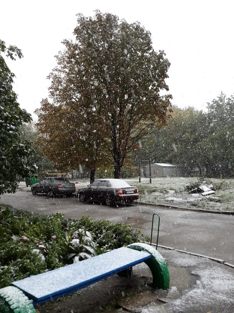 С первым снегом=) | Пикабу