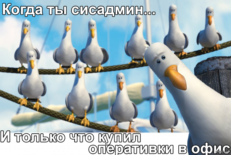 Чайки дай дай. Стикер ааааа. Сёма полное имя. Дай то дай се. Чайки немо дай.
