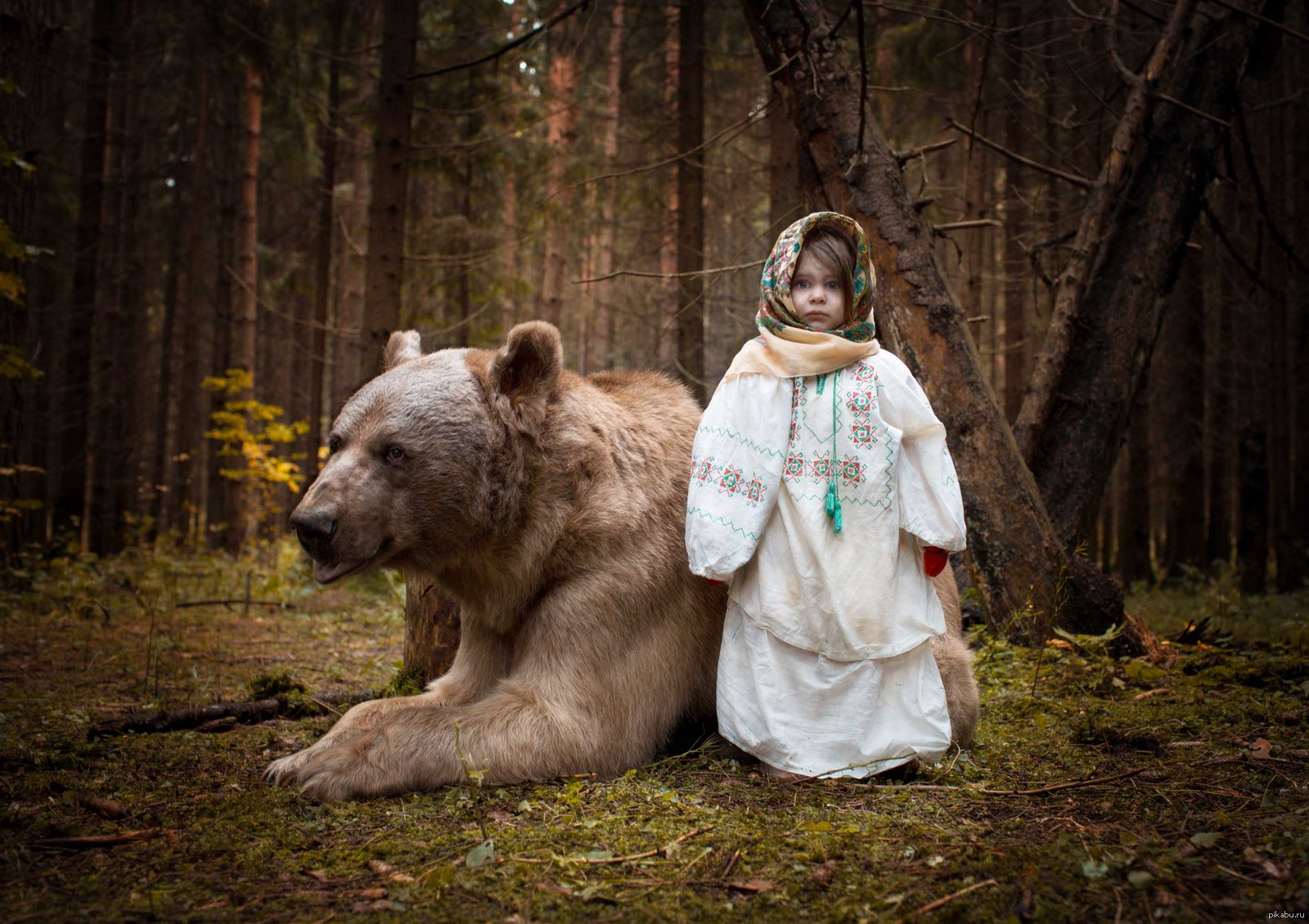 Кома медведь у славян. Фотосессия с медведем. Девочка и медведь.