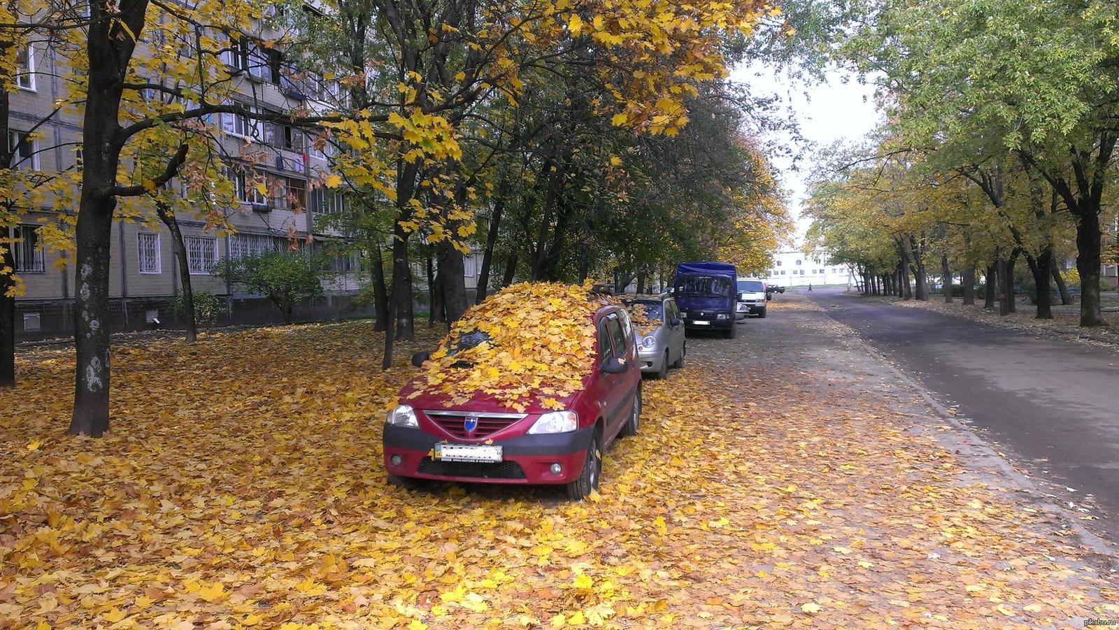 Заработался... | Пикабу