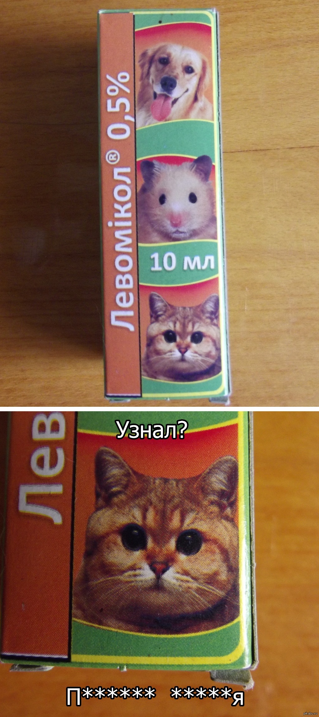 Купил глазные капли для котенка | Пикабу