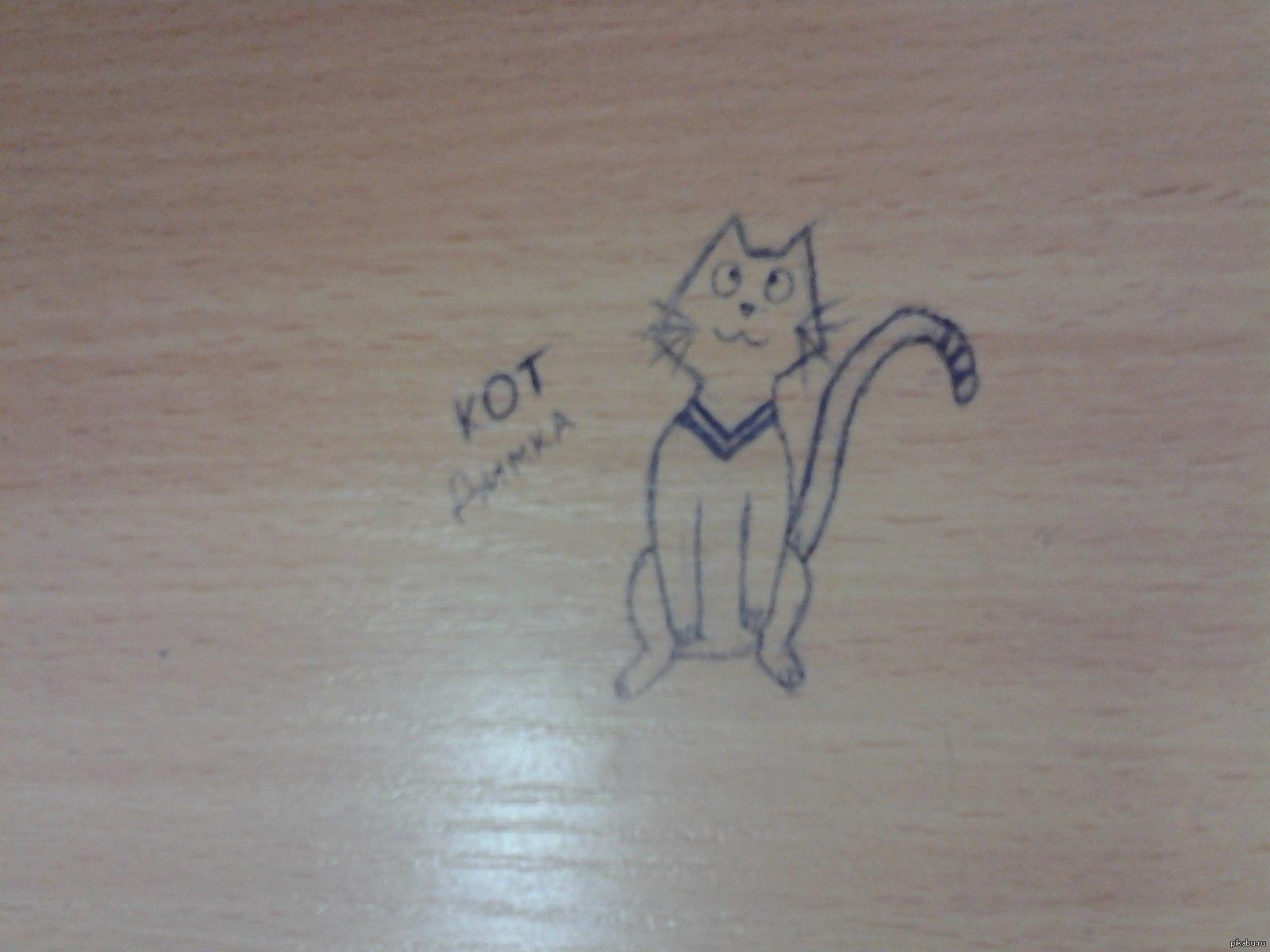 Рисунок кот маркером пины