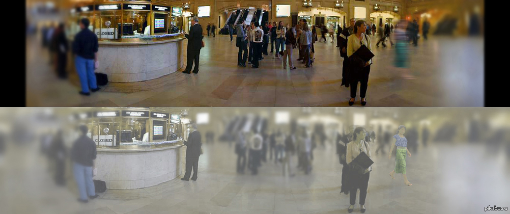 Как видят кошки. Как видят котята. Как видят кошки ночью. Как видят мир кошки. Зрение глазами кошки.