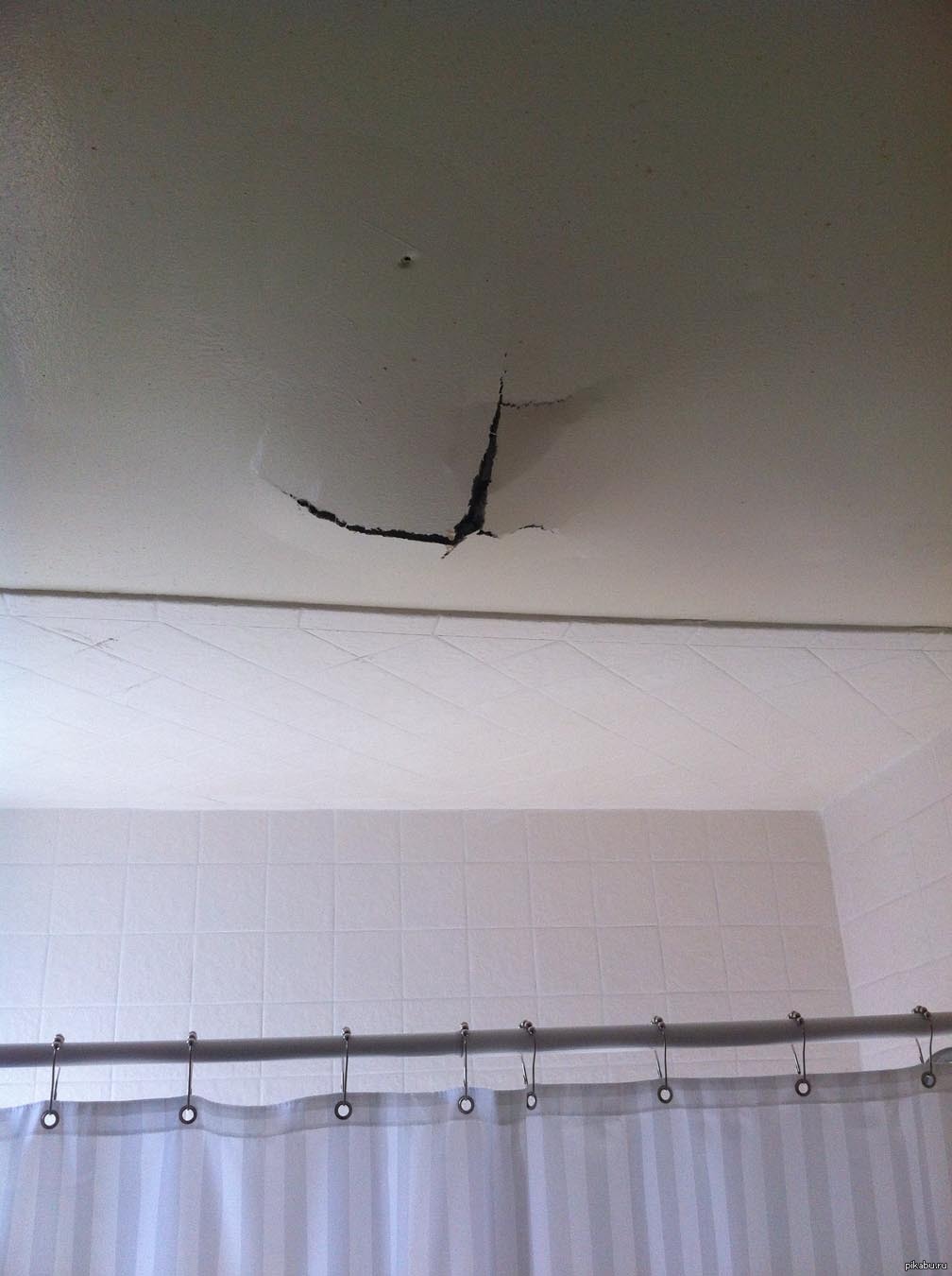 Порванный натяжной потолок. Заплатка на натяжной потолок. Заклейка натяжного потолка. Кошка в подвесном потолке. Как избавиться от мышей в частном доме на потолке натяжном.