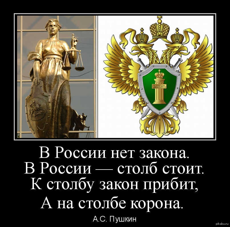 Закон есть закон в цвете. В России нет закона. В России нет закона есть столб а на столбе корона. Справедливость в России. Справедливости в России нет.