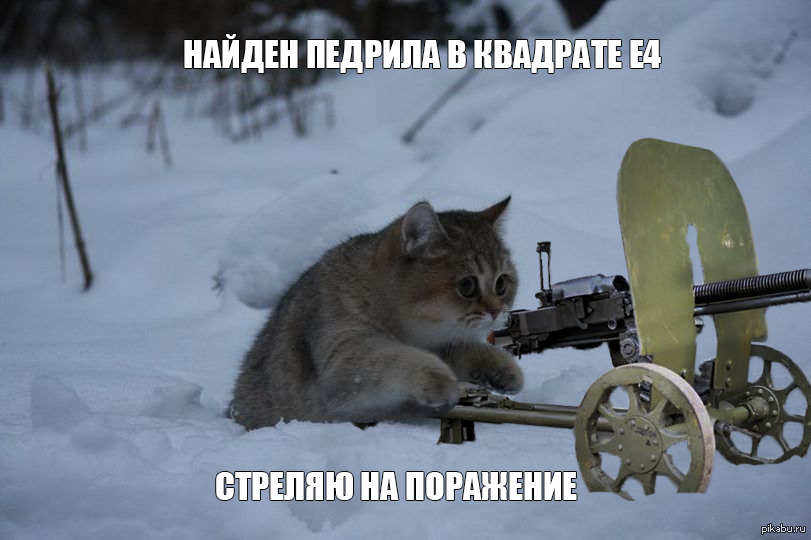 Котенок С Пулеметом