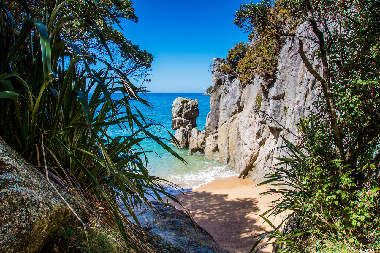 Дикий пляж отдыхающих. Национальный парк Фрейсине Тасмания. Национальный парк Тасман, Австралия. Пляж «дикий берег» ЮАР. Тасмания пляжи.