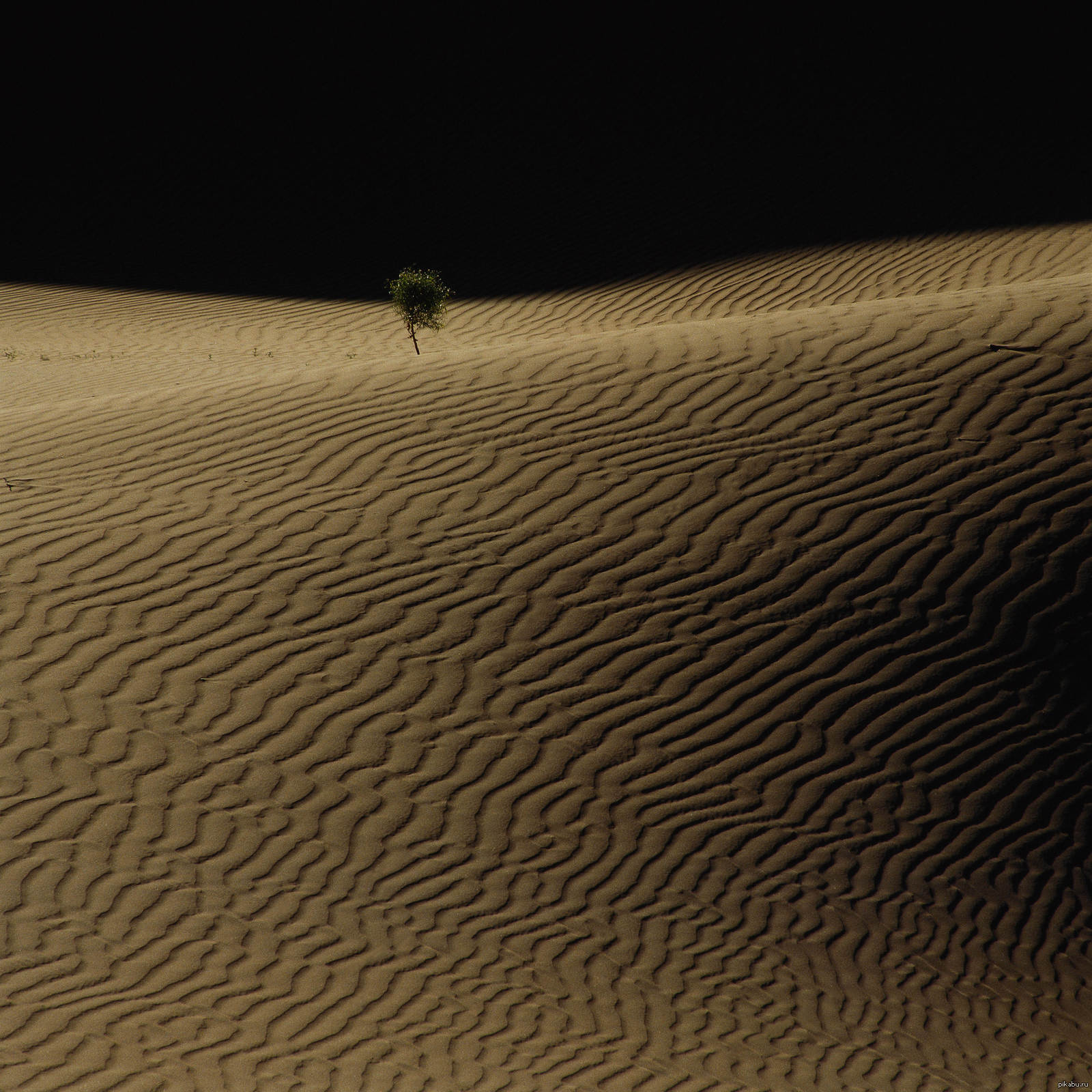 Темно насколько. Пустыня ночью. Пустыня в темноте. Заставка ночная пустыня. Радуга ночью в пустыне.