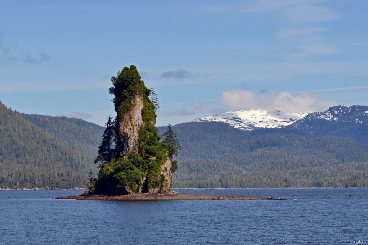 Остров хвойный. Остров еловый Аляска. Остров скала медведь Алтай. Остров с горой. Скалистый островок.