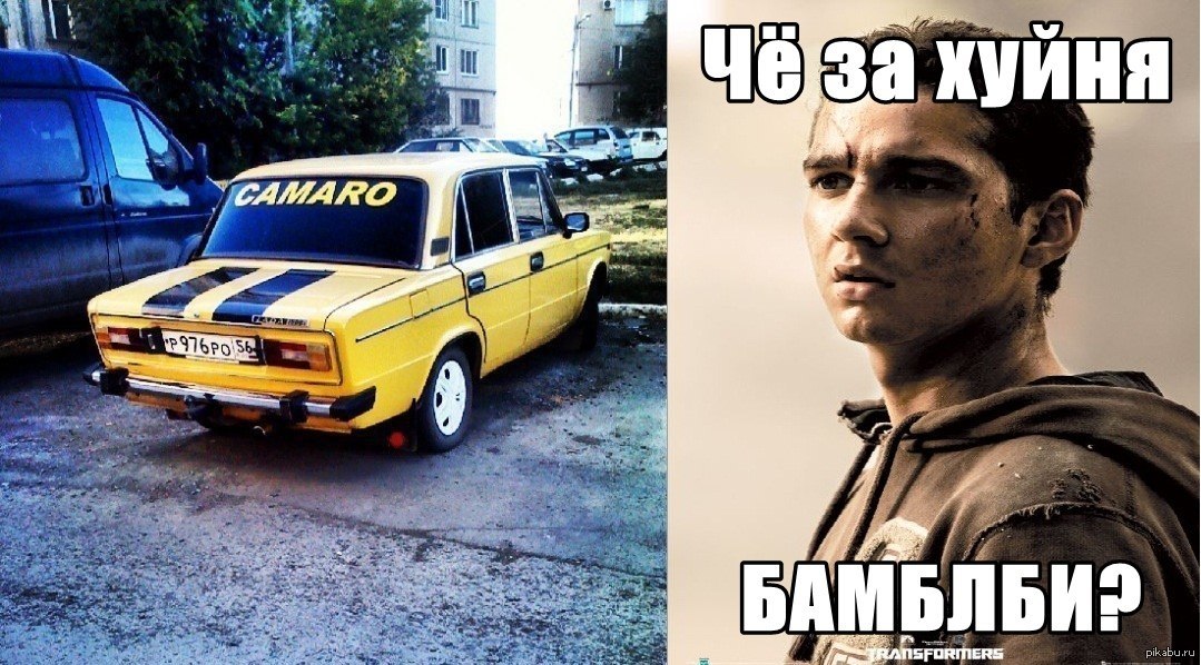картинки тазы скачать онлайн картинки тазы скачать