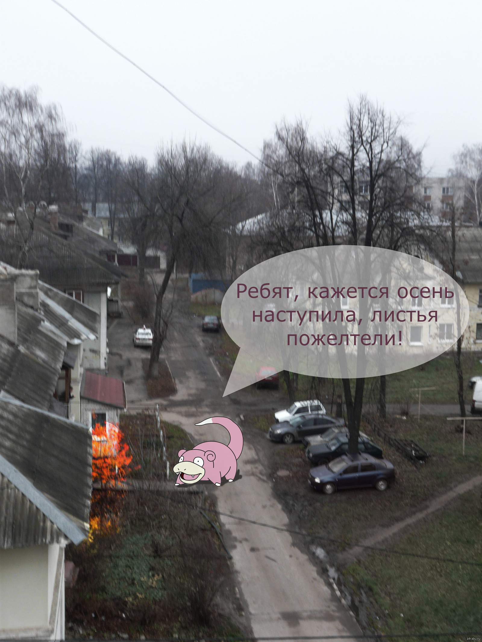 Я слоупок) | Пикабу