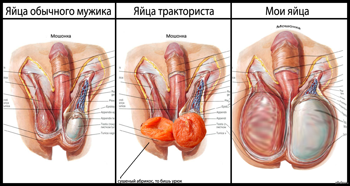 игры с мужскими яйцами спермы забрызгали