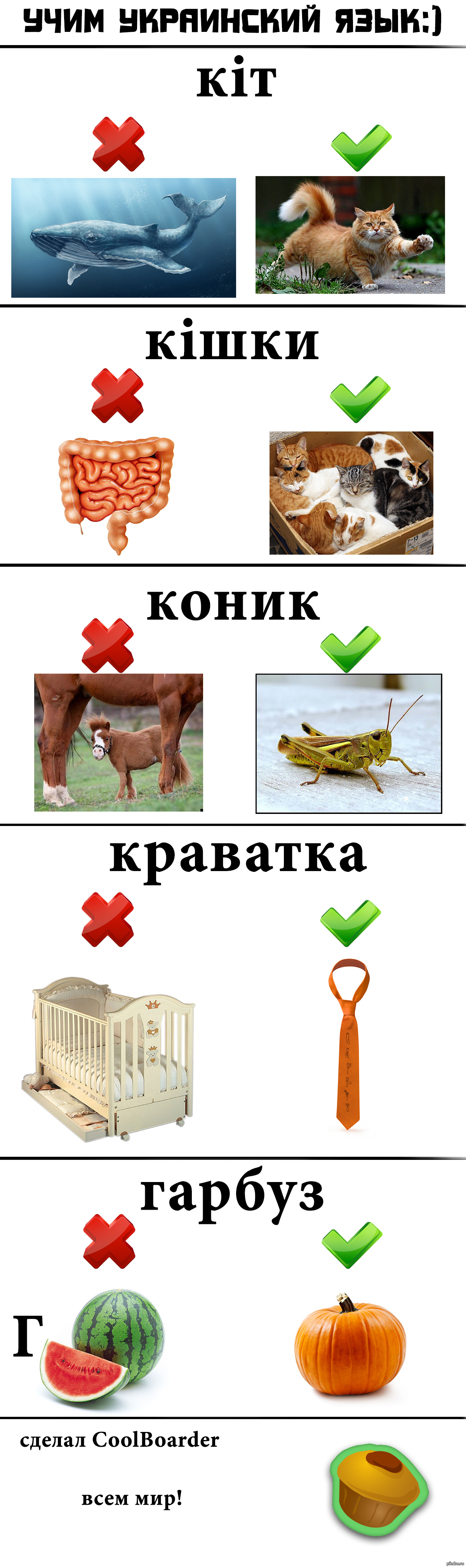 Кто придумал украинский язык. Украинский язык учить. Изучаем украинский язык. Рутыть украинский язык. Учить украинский язык с нуля.