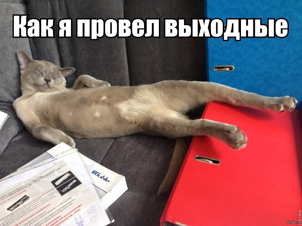 Устроили этой негритянке незабываемые выходные Устроили этой негритянке незабываемые выходные