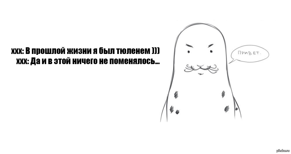 Тюлень любви картинки приколы