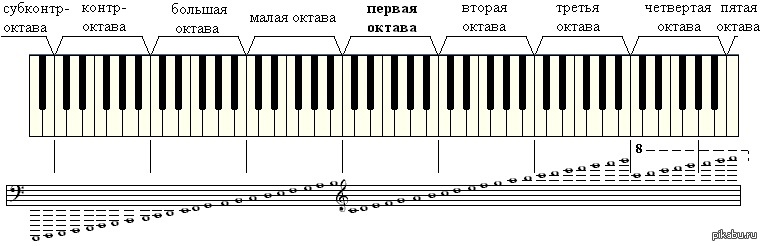 Сколько клавиш. Октава фортепиано 2 октавы. Первая Октава в басовом Ключе для фортепиано. Басовый ключ пианино малая Октава. Малая Октава в басовом Ключе на нотном стане.