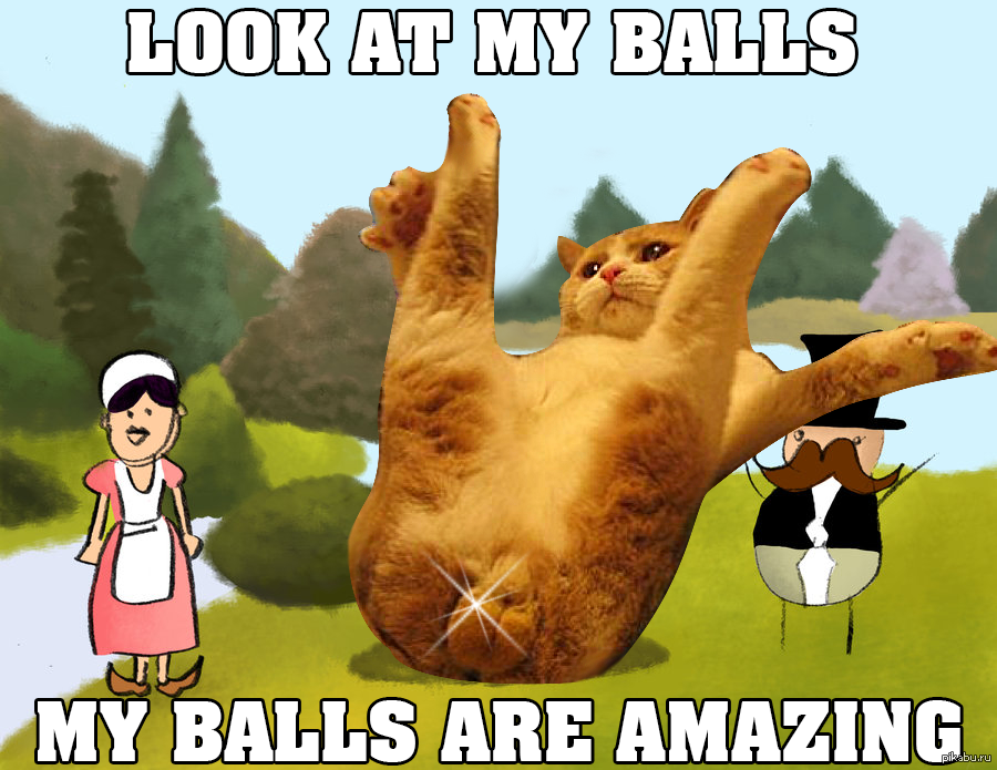 Balls meme. Кошачьи яйца. My balls. Balls Мем.
