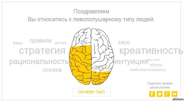 Ведущее полушарие мозга. Полушария мозга. Доминантные полушария мозга. Оба полушария мозга задействованы. Тестируем оба полушария мозга.