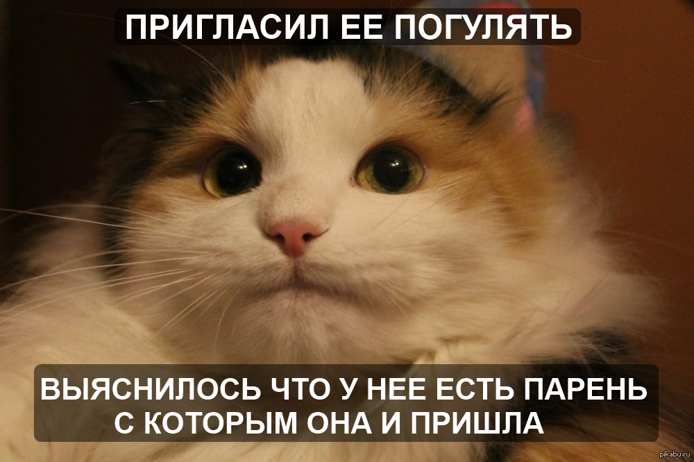 Старым, может погуляем открытки