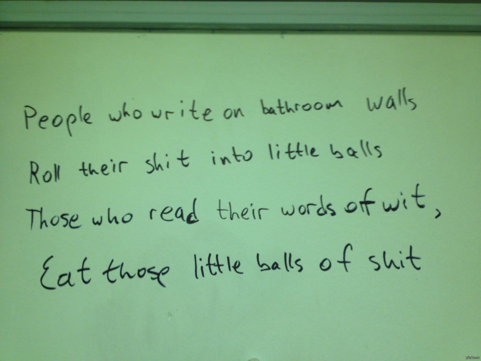 Poetry in the toilet of Moscow State University - My, MSU, Poetry, Toilet, Reading