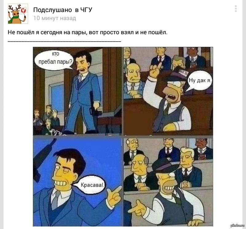 Студентота | Пикабу