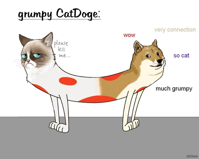 grumpy catdog - Kotopes, cat, Dog, Catdog (cartoon), Grumpy cat