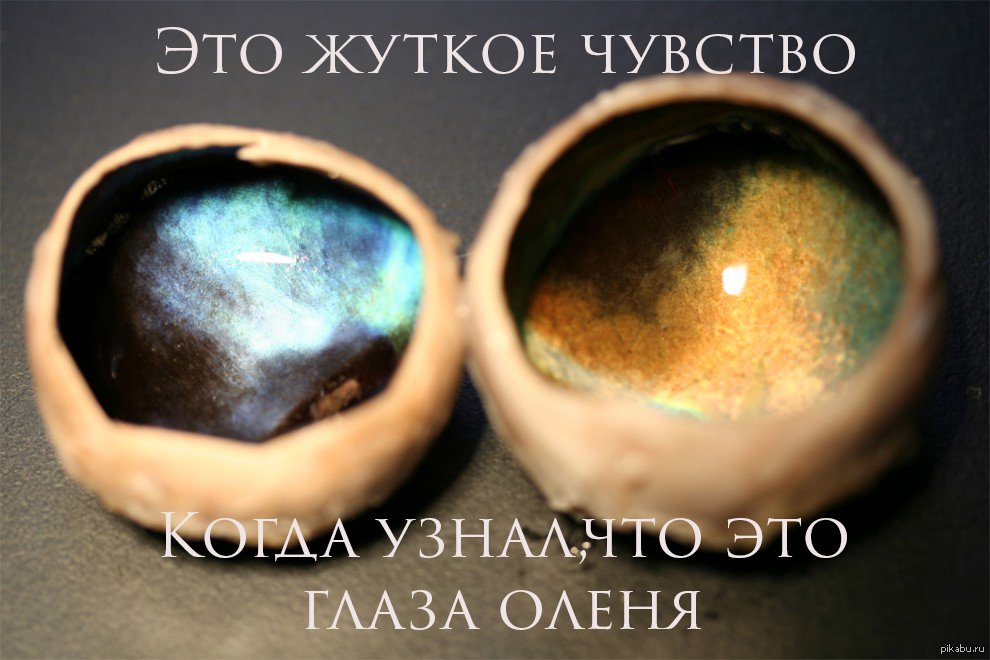 глаза | Пикабу