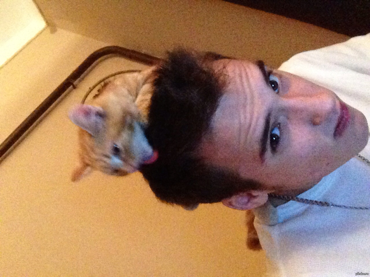 Эффект Акса | Пикабу