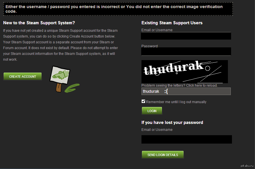 Steam captcha. Капча Steam. Сброс пароля стим. Капча в стиме не вводится. Капчи для стима.