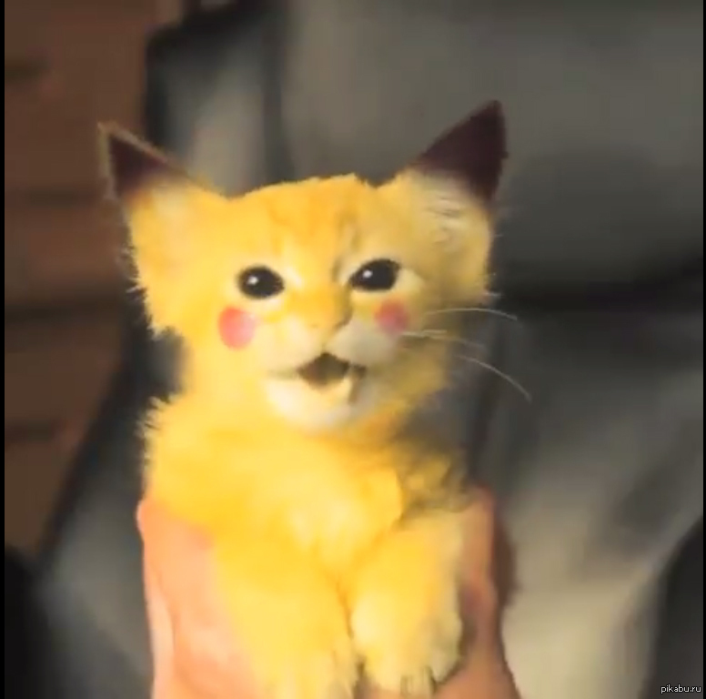 Котик Пикачу