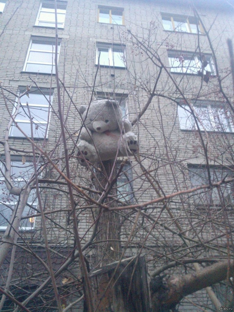 Брошенный мишка | Пикабу