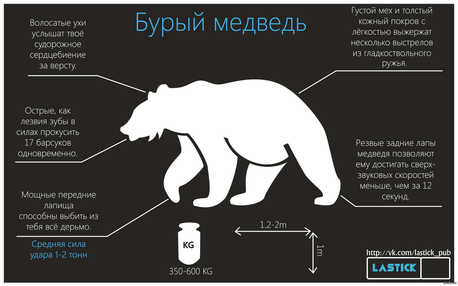 Схема белый медведь