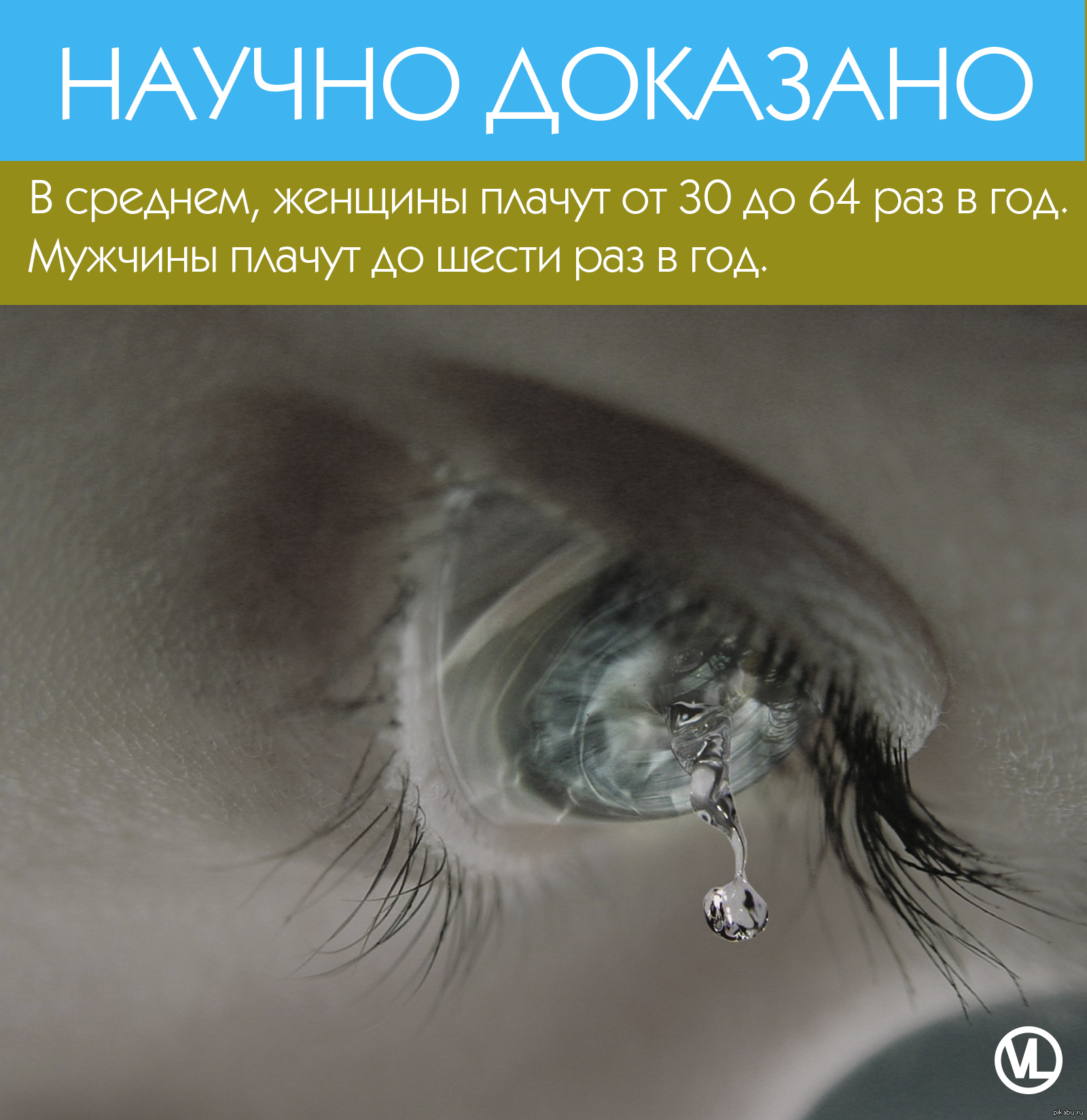 6 раз плакала. Он уходил она в след кричала. 6 раз плакала. 6 раз плакала. Гуф он уходил.